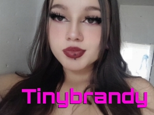 Tinybrandy
