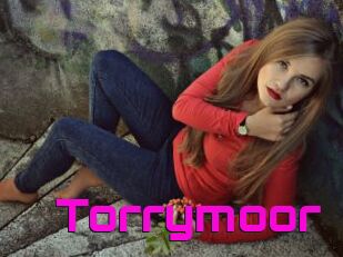 Torrymoor