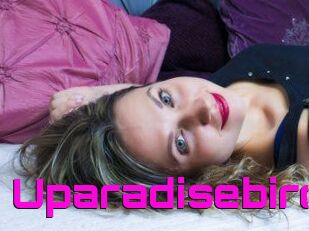 Uparadisebird