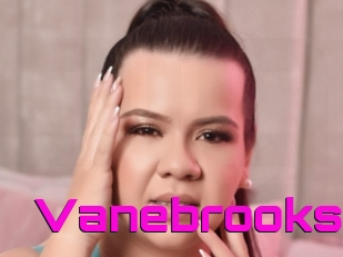 Vanebrooks