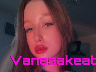 Vanesakeat