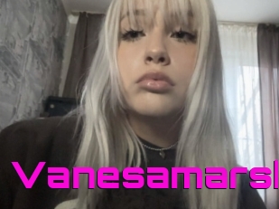 Vanesamarsh
