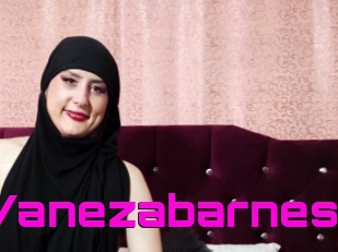 Vanezabarnes