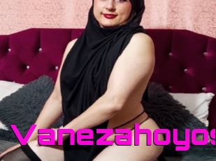 Vanezahoyos