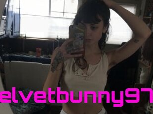 Velvetbunny97