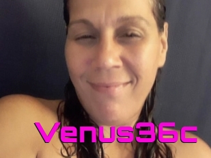 Venus36c