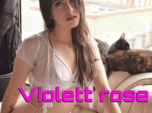 Violett_rose