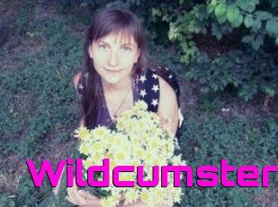 Wildcumster