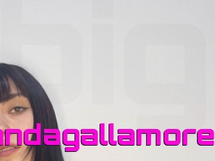 Wandagallamore