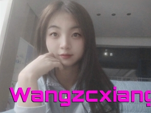 Wangzcxiang