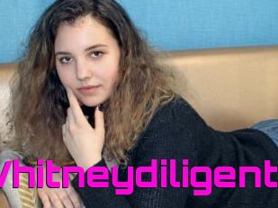 Whitneydiligent