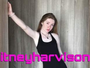 Whitneyharvison