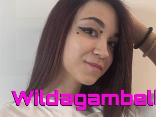 Wildagambell