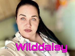 Wilddaisy