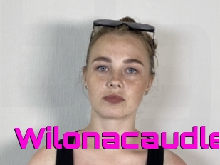 Wilonacaudle