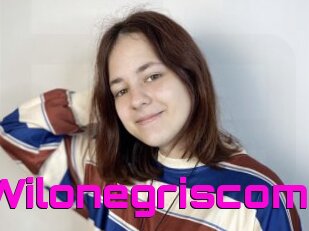 Wilonegriscom