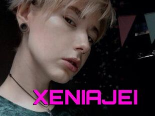 XENIA_JEI