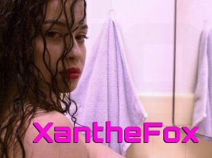 Xanthe_Fox