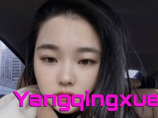 Yangqingxue