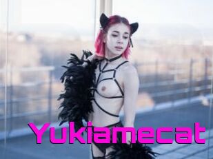 Yukiamecat