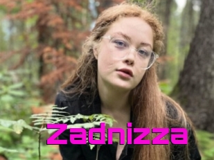 Zadnizza