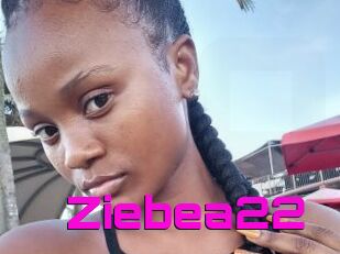 Ziebea22